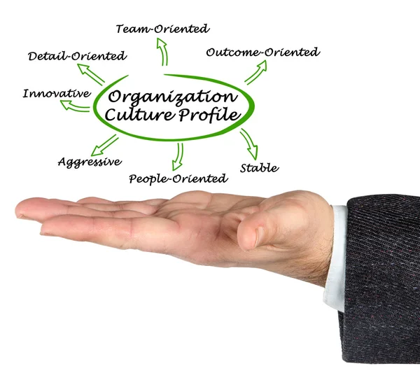 Diagram över kultur organisationsprofil — Stockfoto