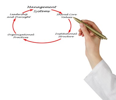 Yönetim sistemlerinin diyagram