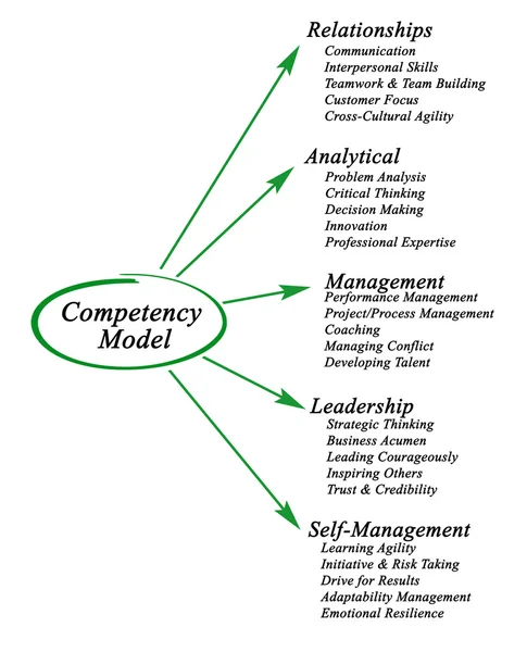 Diagramm des Kompetenzmodells — Stockfoto