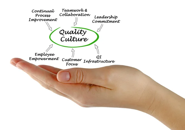 Diagram of Quality Culture — Stock Photo, Image