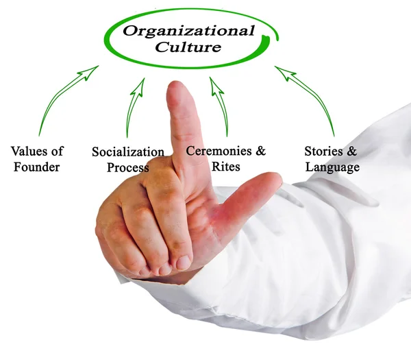 Diagrama de la cultura organizativa — Foto de Stock