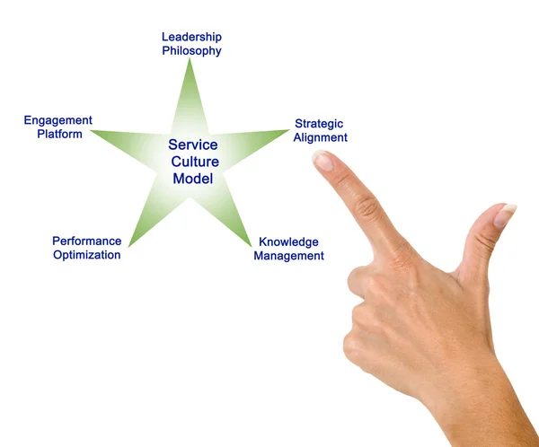 The Service Culture Model — Stock Photo, Image