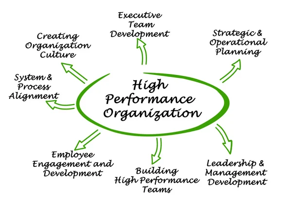 Diagram över högpresterande organisation — Stockfoto