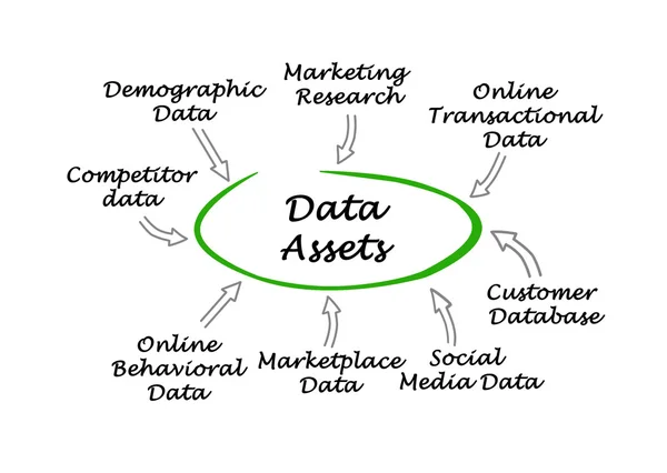 Diagrama de ativos de dados — Fotografia de Stock