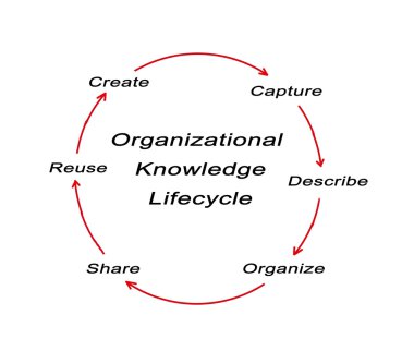 Örgütsel bilgi yaşam döngüsü diyagramı