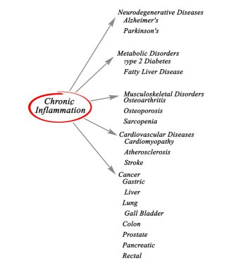 Diagram of Chronic Inflammation clipart