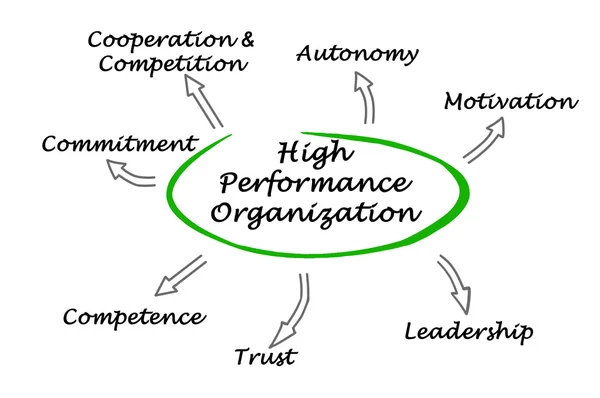 Diagrama de la organización de alto rendimiento — Foto de Stock