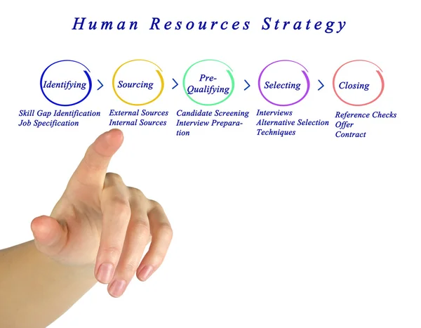 Diagram of Human Resources Strategy — Stock Photo, Image