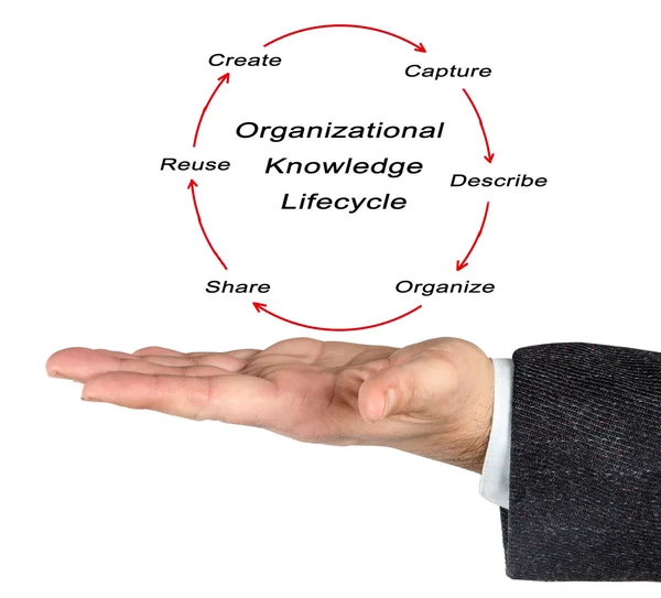 Diagram of Organizational Knowledge Lifecycle — Stock Photo, Image