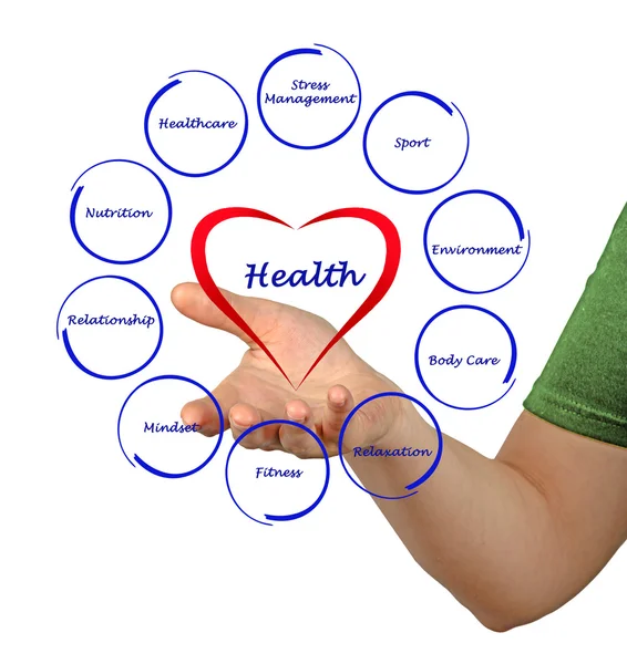 Presentation of Diagram of health — Stock Photo, Image