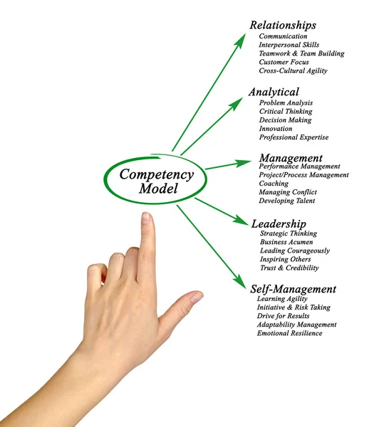 Diagram van het competentiemodel — Stockfoto