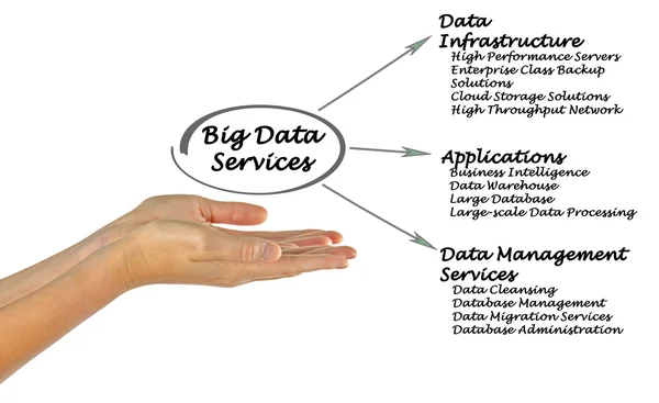 Diagram of Big Data Services — Stock Photo, Image