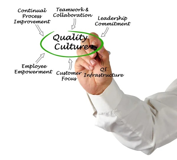 Diagramme de la culture de la qualité — Photo