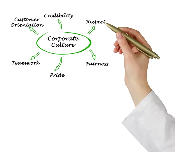 Diagram of Corporate Culture — Stock Photo, Image