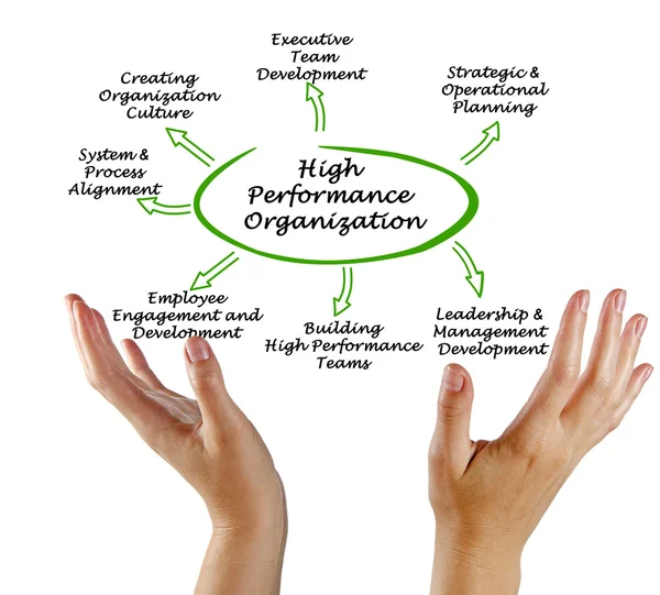 Diagramme de l'organisation de haute performance — Photo