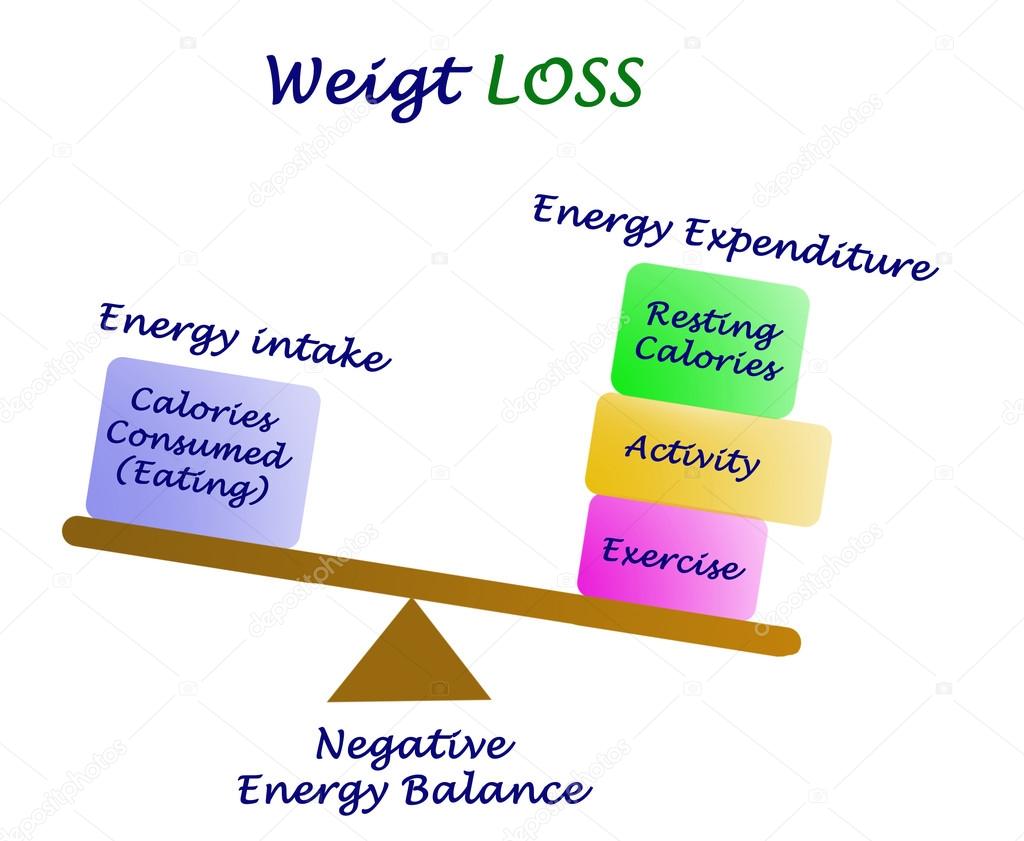 Balance Between Energy Intake And Energy Expenditure Stock Photo By balance-between-energy-intake-and-energy-expenditure-stock-photo-by