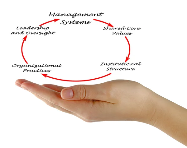 Diagrama de Sistemas de Gestión — Foto de Stock