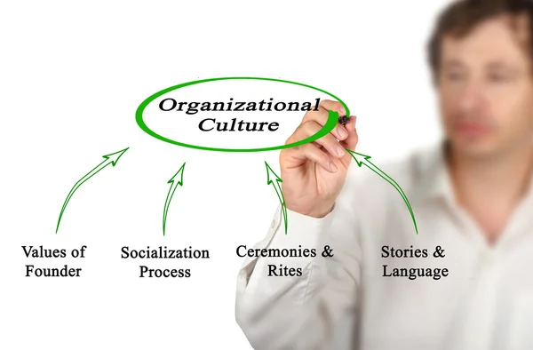Diagram över organisationskulturen — Stockfoto