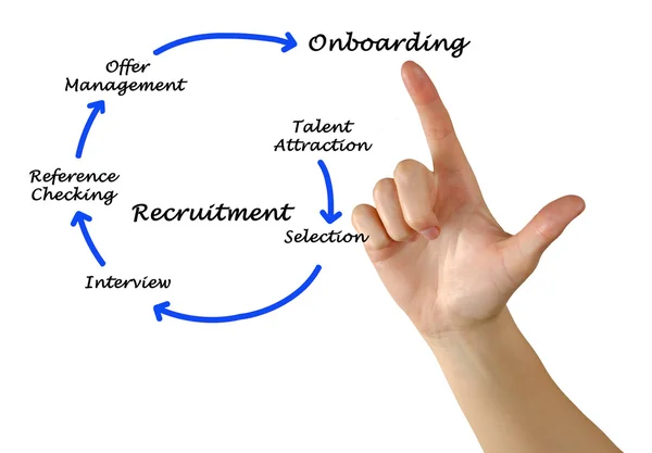 Diagram of recrutment process — Stock Photo, Image