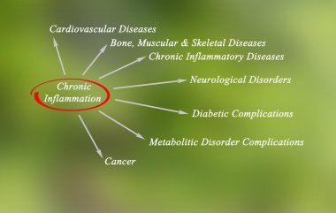 Kronik inflamasyon diyagramı
