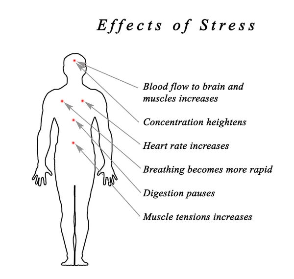 Diagrama de Stress & Body — Fotografia de Stock