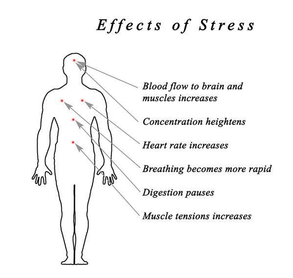 diagram of Stress &  Body