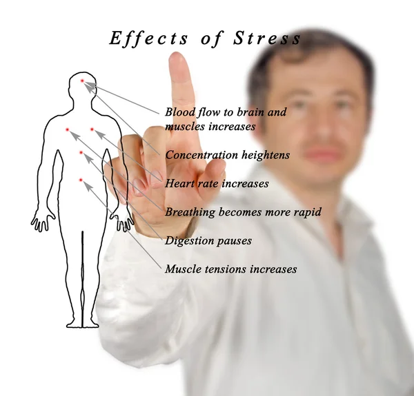 Diagrama de estrés y cuerpo — Foto de Stock