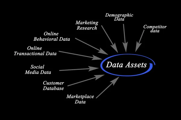 Diagrama de ativos de dados — Fotografia de Stock