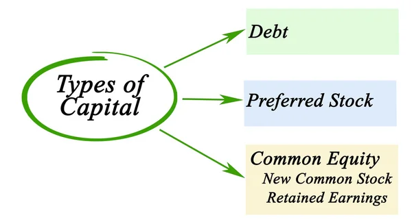 Diagrama de Tipos de Capital — Fotografia de Stock