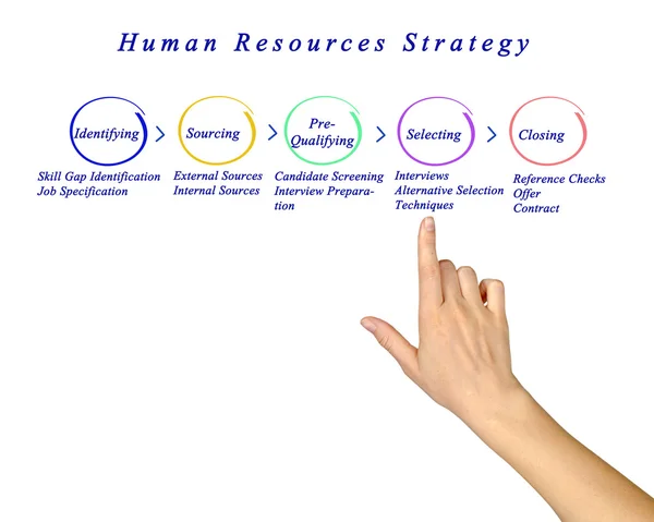 Diagram of Human Resources Strategy — Stock Photo, Image