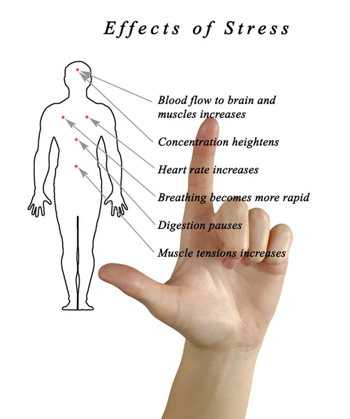 Diagrama de estrés y cuerpo —  Fotos de Stock