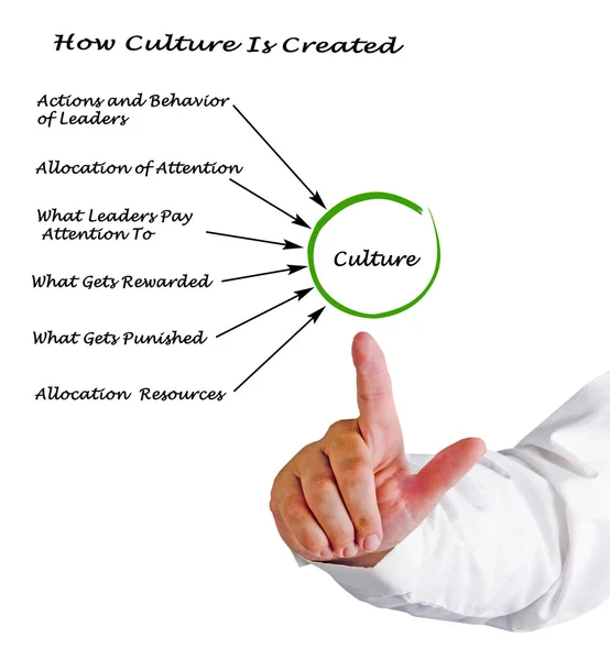 Diagram of How Culture Is Created — Stock Photo, Image