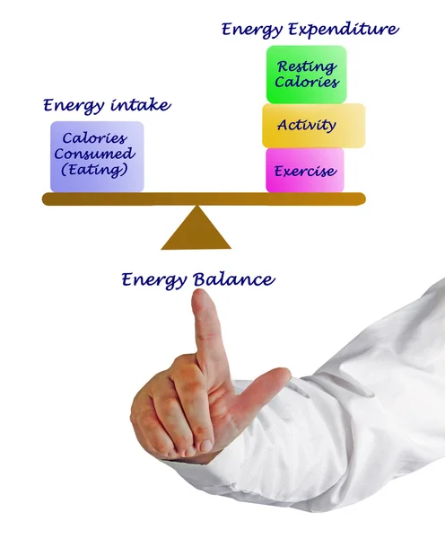 Balance between Energy intake and Energy expenditure — Stock Photo, Image