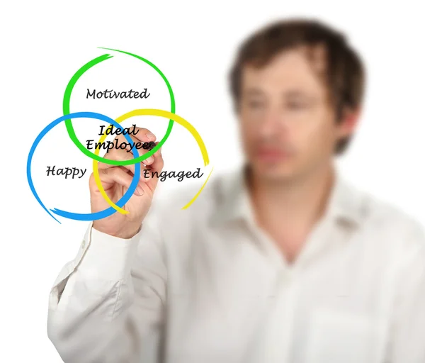 Diagram of Ideal Employee — Stock Photo, Image