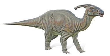Close up of Parasaurolophus dinosaur clipart
