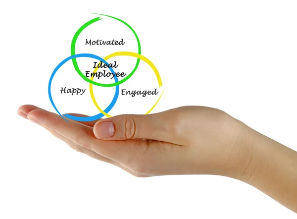 Diagramma del dipendente ideale — Foto Stock