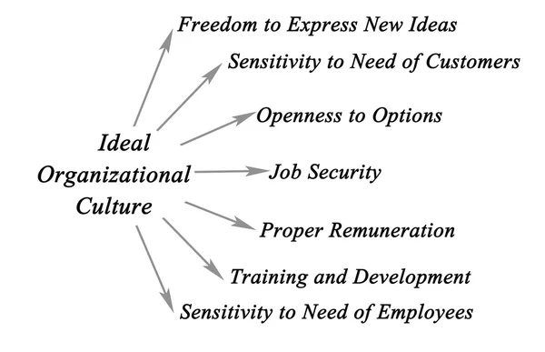 Diagramma della Cultura Organizzativa Ideale — Foto Stock