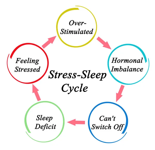 ストレス睡眠サイクルの5つの要素 — ストック写真