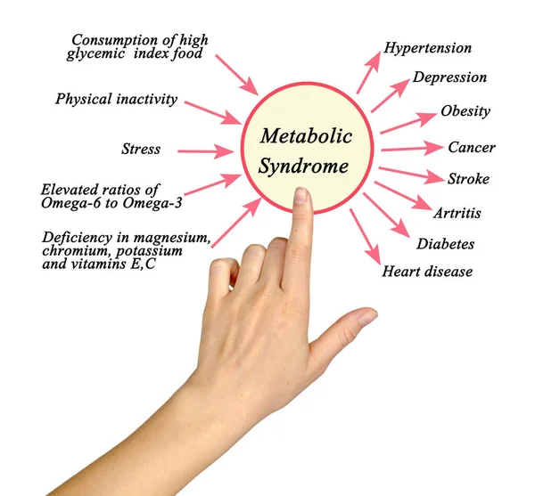 Metabolik Sendrom Sebep Sonuçlar — Stok fotoğraf