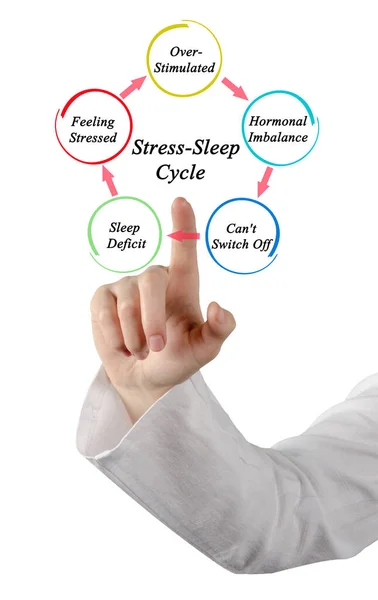 Cinq Composantes Cycle Stress Sommeil — Photo