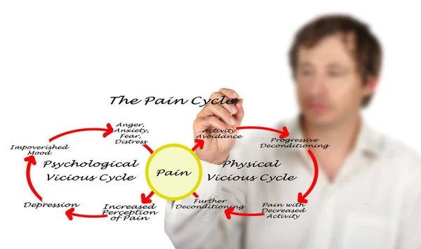 Pain Cycle Physiolgy Psycholog — Stock Photo, Image