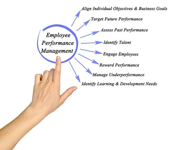 Onderdelen Van Employee Performance Management — Stockfoto