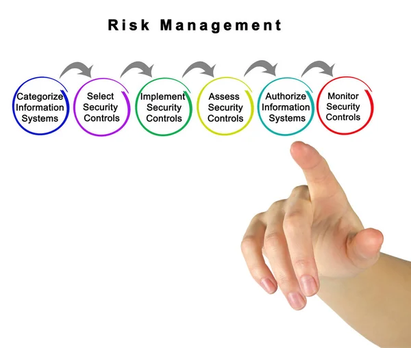 Șase Componente Ale Managementului Riscului — Fotografie, imagine de stoc