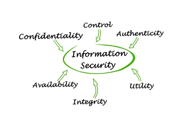 Seis Componentes Seguridad Información —  Fotos de Stock