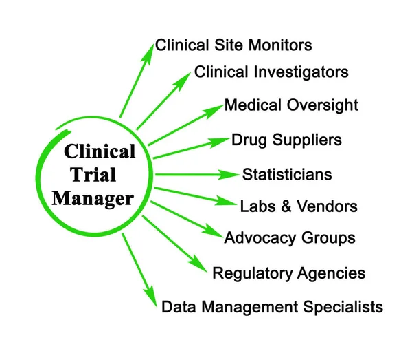 Professionisti Sotto Controllo Clinical Trail Manager — Foto Stock