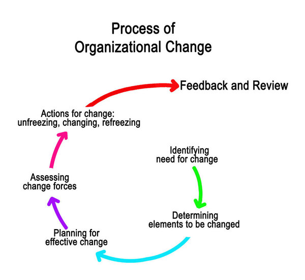 Components of Process of Organizational Change