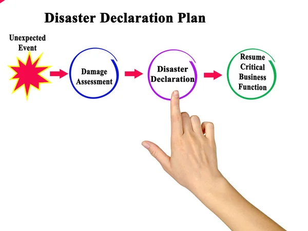 Three components of Disaster management