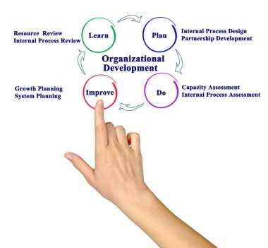 Organizasyon Geliştirme Bileşenlerini Sunar 