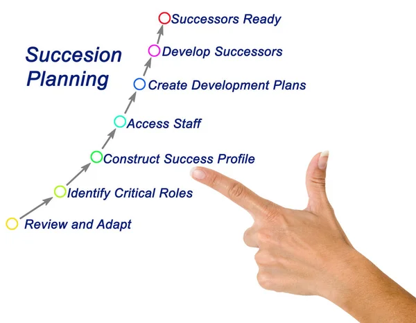 Seven Components Succesion Planning — Stock Photo, Image