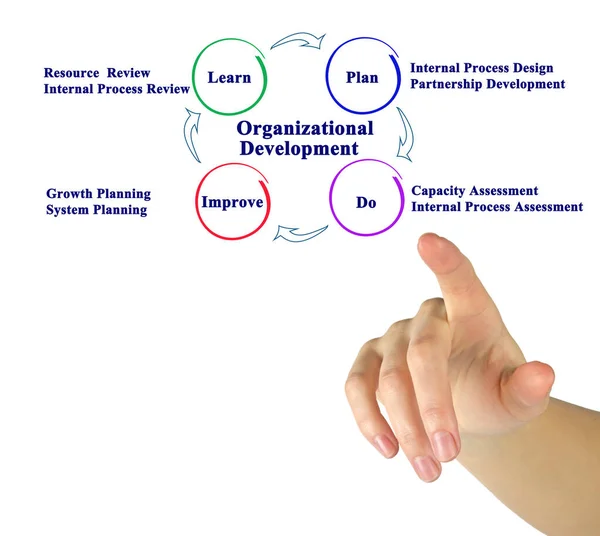 Presenting Components Organizational Development — Stock Photo, Image